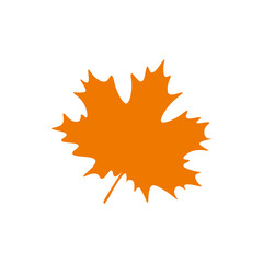 autumn leaf color