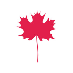 maple leaf color