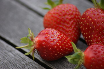 Fraises