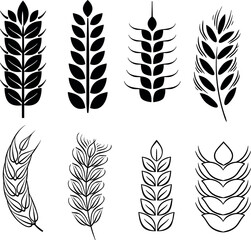 Set of differents outilned wheat stalk silhouette vector illustration