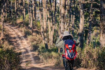 Happy Travelers Hiking with Backpacks on the Beautiful Rocky Trail at Warm Sunny. Hikers with backpacks walks in mountains. travel in the mountains with backpacks. Travel in the mountain with backpack