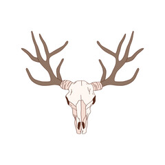 Deer scull with horns vector illustration isolated on white. Western Christmas design, wild west element. Delicate outlined graphics.
