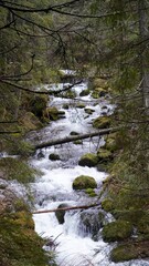 Potok górski, zakopane, tatry, tatrzański park narodowy