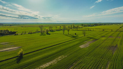 Beautiful green fields and polders in Żuławy seen from a drone on a spring morning. Poland.