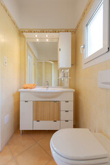 Front view of the bathroom cabinet with sink, mirror and soap. Behind it is the shower.