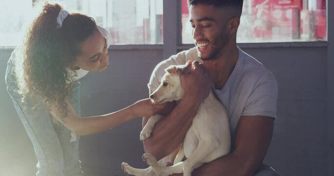 Adoption, animal shelter and a couple loving a dog at a rescue center for charity or welfare together. Pet, love or empathy with a man and woman adopting a young puppy from a community kennel
