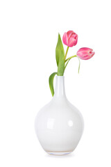 Two Tulips in a white vase, on a white background