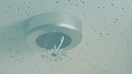 Fire Starts In Office And Sprinkler Extinguishes It