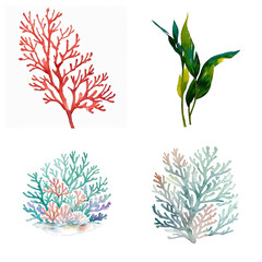Fototapeta na wymiar Hand drawn watercolor sea themed elements. Illustration generative ai isolated on white background. Watercolor sea coral and seaweed clipart.