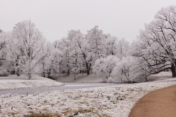 The path in the Alexander Park in the snow