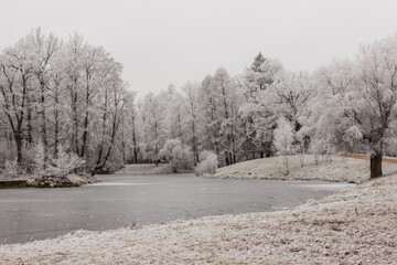 Ponds in the Alexander Park in the snow