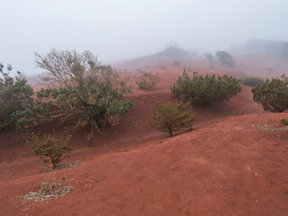 Picturesque erosion red earth and sand hills desert landscape near the viewpoint Mirador de Abrante in thick fog and mist and clouds. La Gomera, Canary Island, Spain