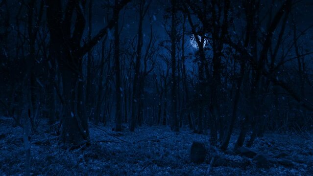 Winter Woodland With Snow Falling In The Moonlight