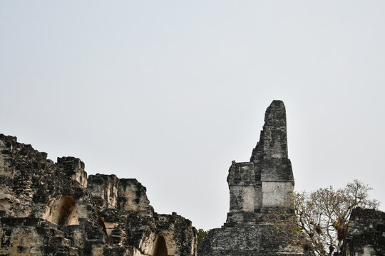 Templo Gran Jaguar visto desde la Acr&oacute;polis Central. Parque Nacional de Tikal. Departamento de Pet&eacute;n. Guatemala.