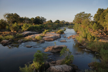 Fototapeta na wymiar Afrikanischer Busch - Krügerpark - Sabie River / African Bush - Kruger Park - Sabie River /