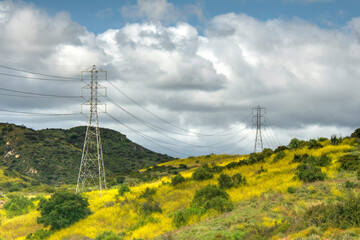 electrical towers on mustard covered hillside
