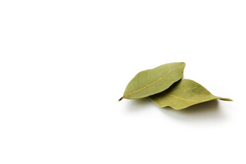 Dry bay leaves isolated on white background.