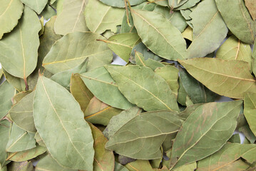Dry bay leaves as background. Close-up.