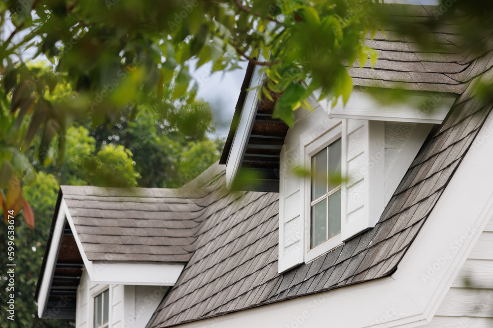 Wall mural roof shingles with garret house on top of the house among a lot of trees. dark asphalt tiles on the 