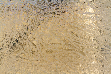 Close up. Textured embossed glass. Vegetal pattern. Background.