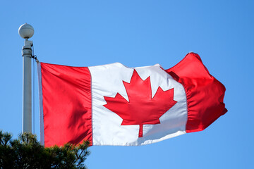 Fototapeta na wymiar close up waving flag of Canada. flag symbols of Canada. Canada national flag waving in beautiful sky.