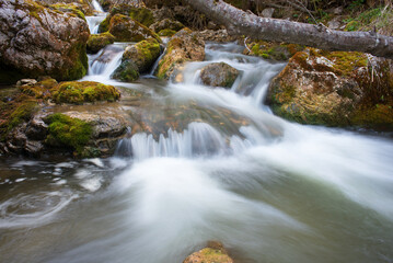 splendide lunghe esposizioni dell'acqua in questo torrente di montagna con sassi coperti di bel...