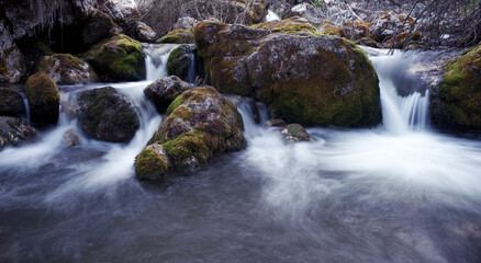 splendide lunghe esposizioni dell'acqua in questo torrente di montagna con sassi coperti di bel...