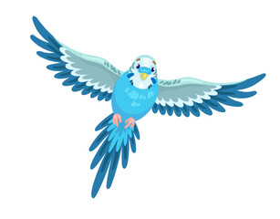 Cute blue budgerigar flies. In cartoon style. Isolated on white background. Vector flat illustration