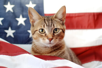 Kitten sitting with the American flag. Generative AI.