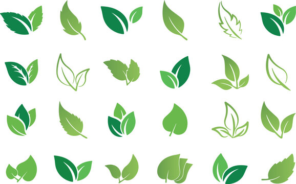 Green leaf vector set with bio and eco, leaf, nature, plant, vector, green, icon, tree, design, illustration, eco, set, pattern, spring, ecology, floral, natural, symbol, branch, leaves, summer