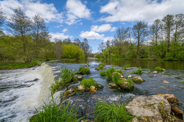 Spring on the banks of the Warta River, Poland.