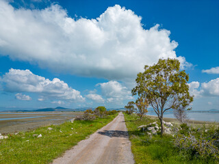 Sasalı bird paradise and reflections