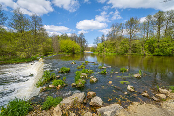Spring on the banks of the Warta River, Poland.