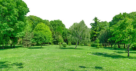 panorama of park and garden with grass on lawn and green trees in spring isolated on transparent background, png