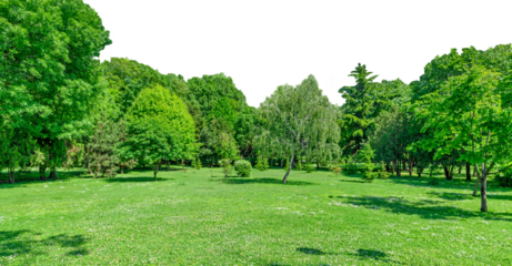 panorama of park and garden with grass on lawn and green trees in spring isolated on transparent background, png