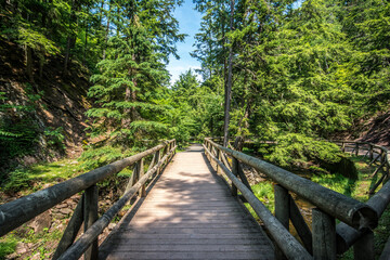 A wooden foot bridge made of logs through the forest at Victoria Park in Truro, Nova Scotia. 