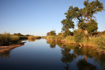 Afrikanischer Busch - Krügerpark - Sabie River / African Bush - Kruger Park - Sabie River /
