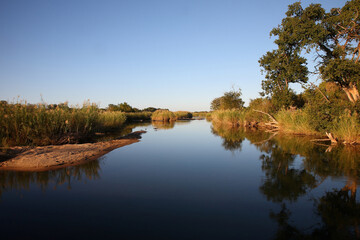 Fototapeta premium Afrikanischer Busch - Krügerpark - Sabie River / African Bush - Kruger Park - Sabie River /