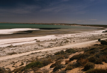 Fototapeta na wymiar Shell Beach (Western Australia)