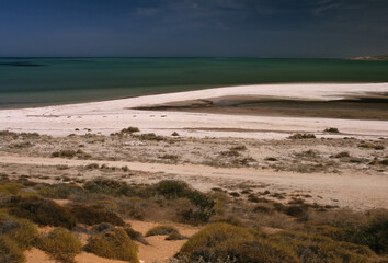 Shell Beach (Western Australia)