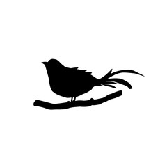 Bird Silhouette 