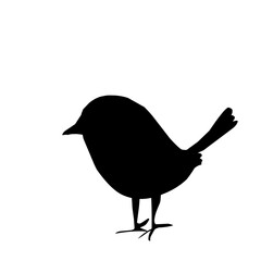 Bird Silhouette 