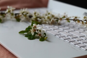 A branch of a flowering tree on a laptop keyboard, side view.