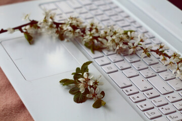 A branch of a flowering tree branch on laptop keyboard, top view.