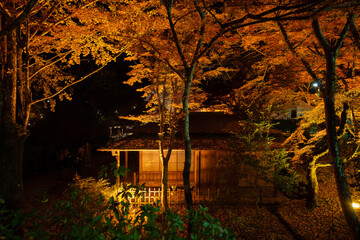 香嵐渓　紅葉と屋敷
