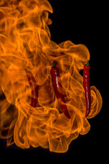 Chili im Feuer