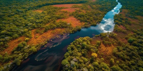 AI Generated. AI Generative. Photo realistic illustration of top view dron amazon river in the rain season. Adventure tropical explore vibe. Graphic Art