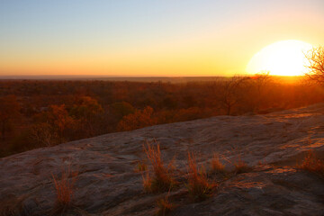 Sonnenaufgang - Krüger Park - Südafrika / Sunrise - Kruger Park - South Africa /
