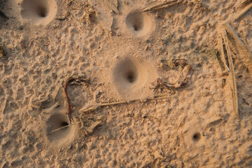 sand castle in the sand
