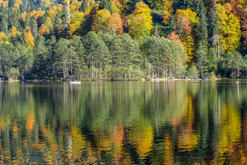 Natural life and autumn landscapes in Rize, Artvin, Savsat highlands